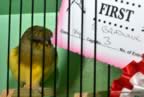 DSC_4896 (Small).JPG (96kb)